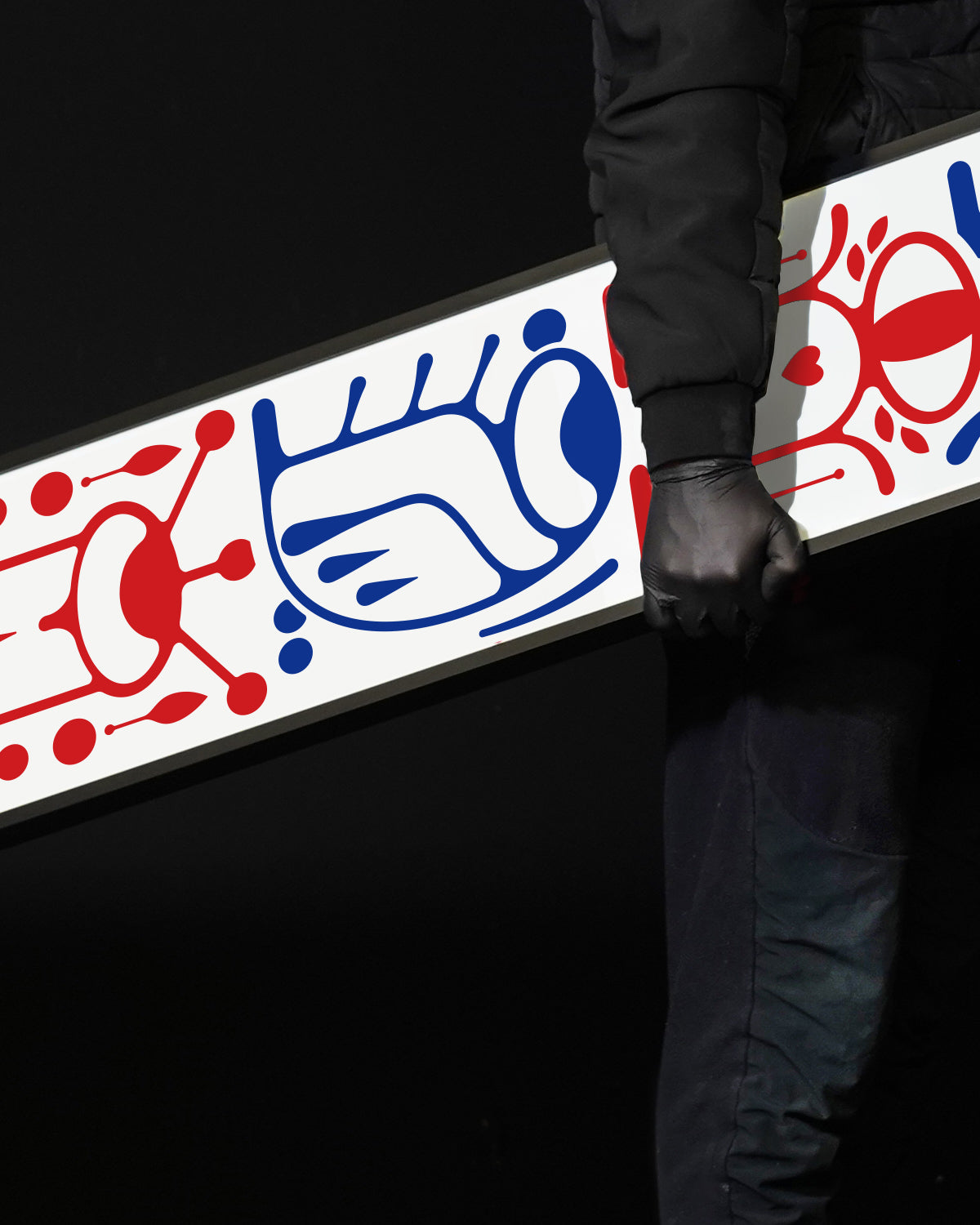 Paradox Paradise -Paraglyphs v12 /