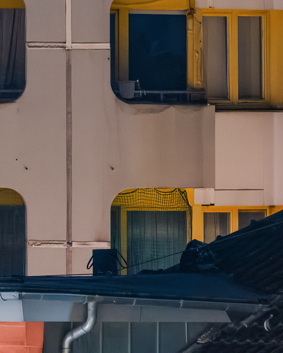 †KOTTI MOTHMAN† / Print